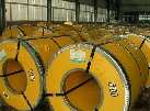 Stainless Steel Hot Rolled